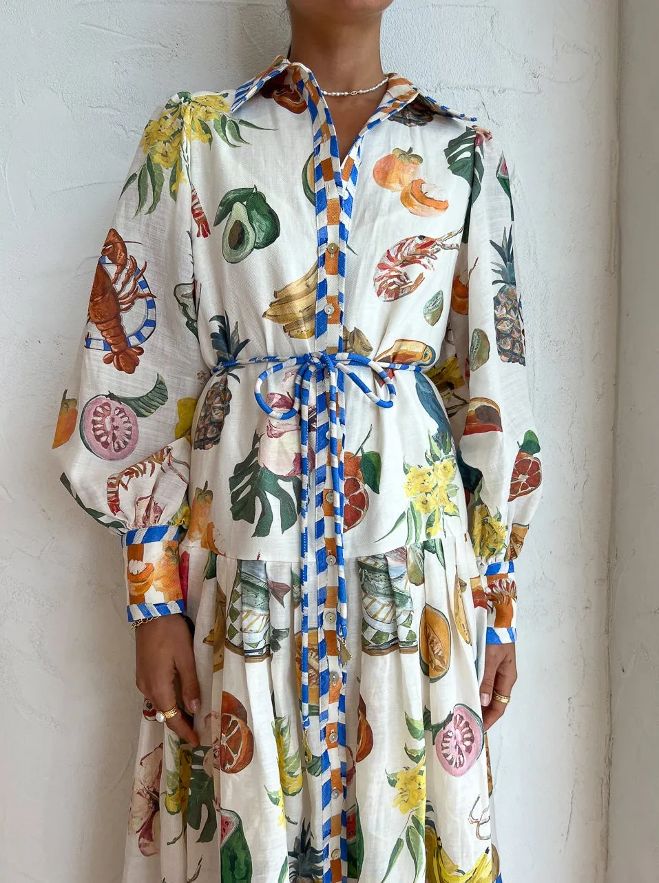 Alemais Theo Shirtdress in Multi